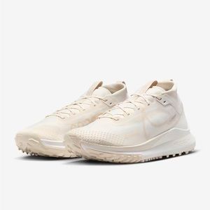 11.5 Nike Pegasus gore-Tex